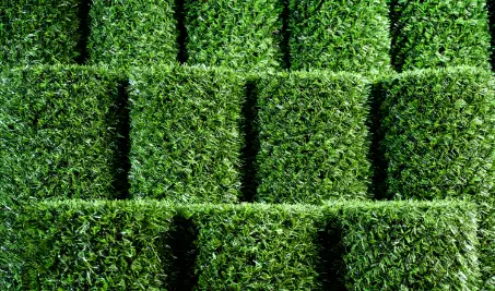 Нужен бесплатный расчет забора Grass Fence из искусственной травы в Сургуте?